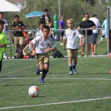 MN SUMMER CUP 2024